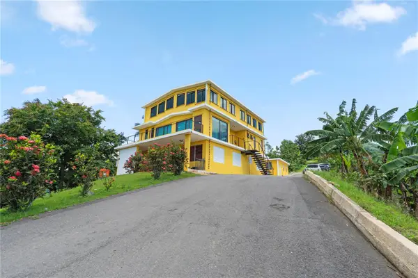 Bo. Hoyos Planes Carr. 531 Km Hm7, JAYUYA, PR 00664