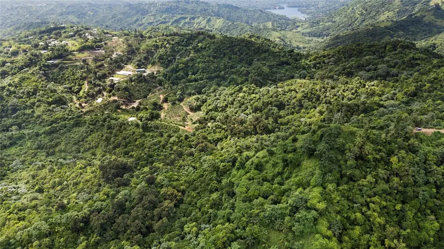 Bo. Hoyos Planes Carr. 531 Km Hm7, Jayuya, PR 00664 - Image #3