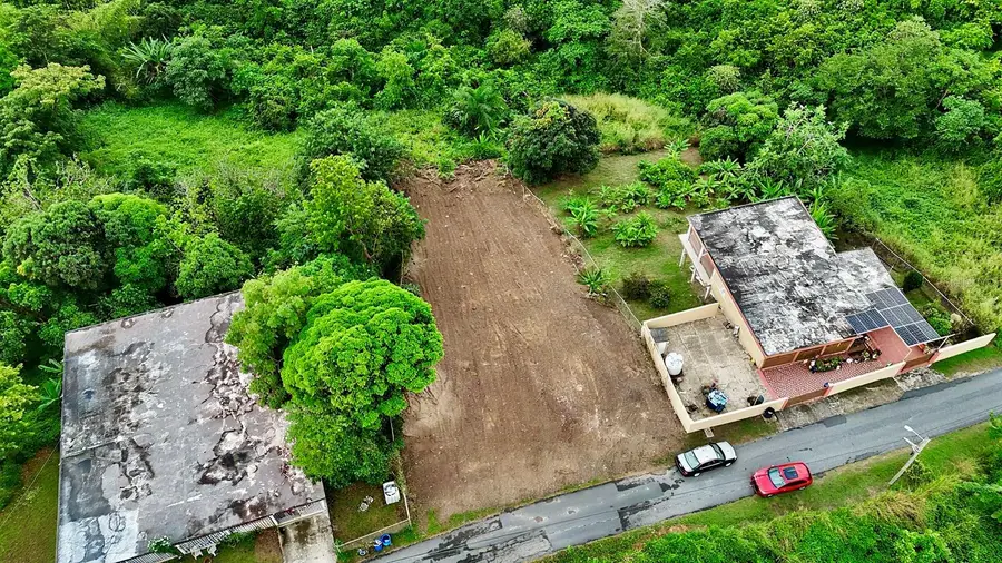 Bo. Buena Vista #7, Humacao, PR 00791 - Image #2