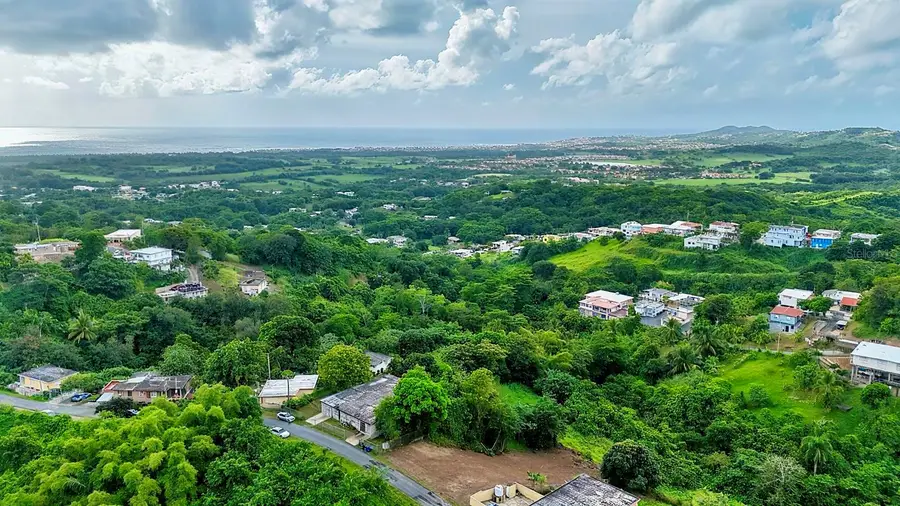 Bo. Buena Vista #7, Humacao, PR 00791 - Image #3