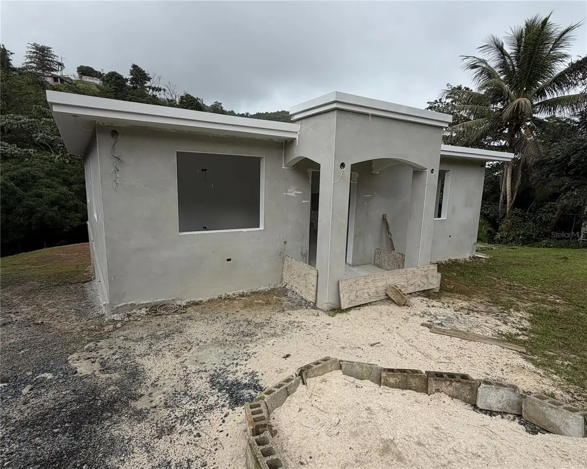 Bo. Caaboncito, Carr. 784 Km 5.2, Caguas, PR 00727 - Image #1