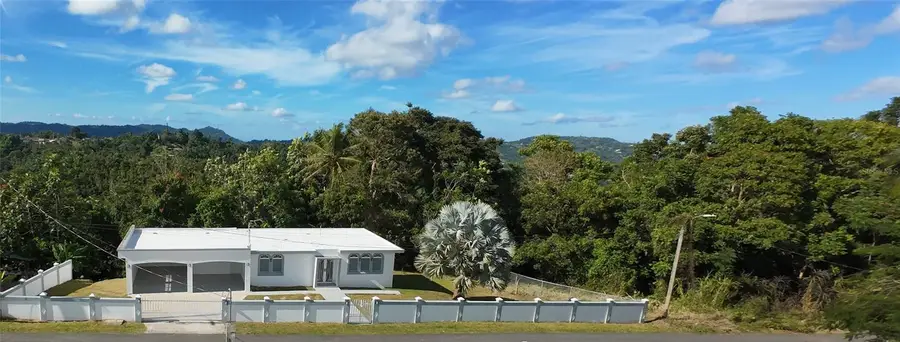 794 Km 4.0, Aguas Buenas, PR 00703 - Image #2