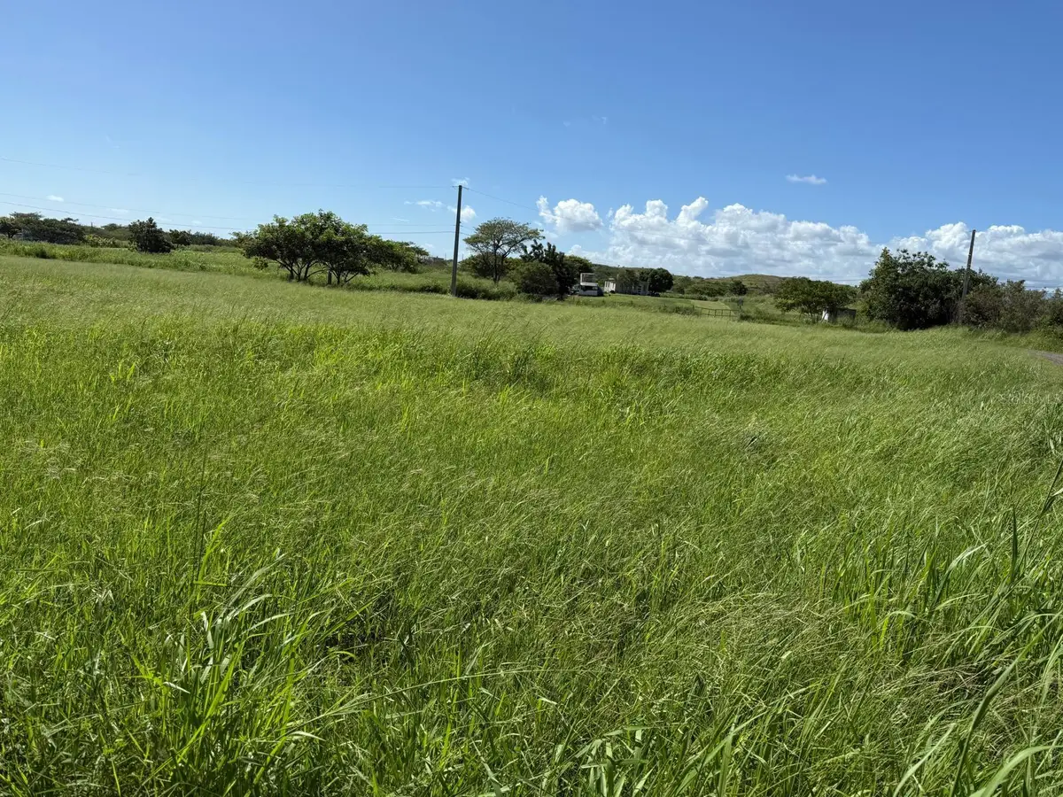 Parcela #67 Bo. Jueyes, Santa Isabel, PR 00757 - Image #1