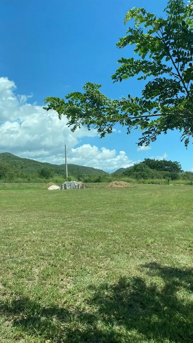 Parcela #67 Bo. Jueyes, Santa Isabel, PR 00757 - Image #2