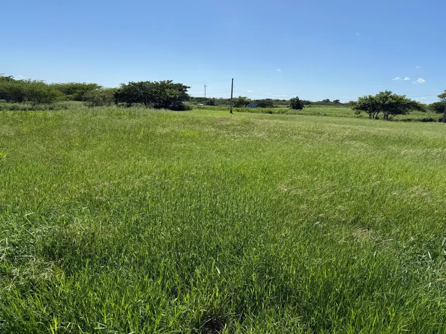 Parcela #67 Bo. Jueyes, Santa Isabel, PR 00757 - Image #3