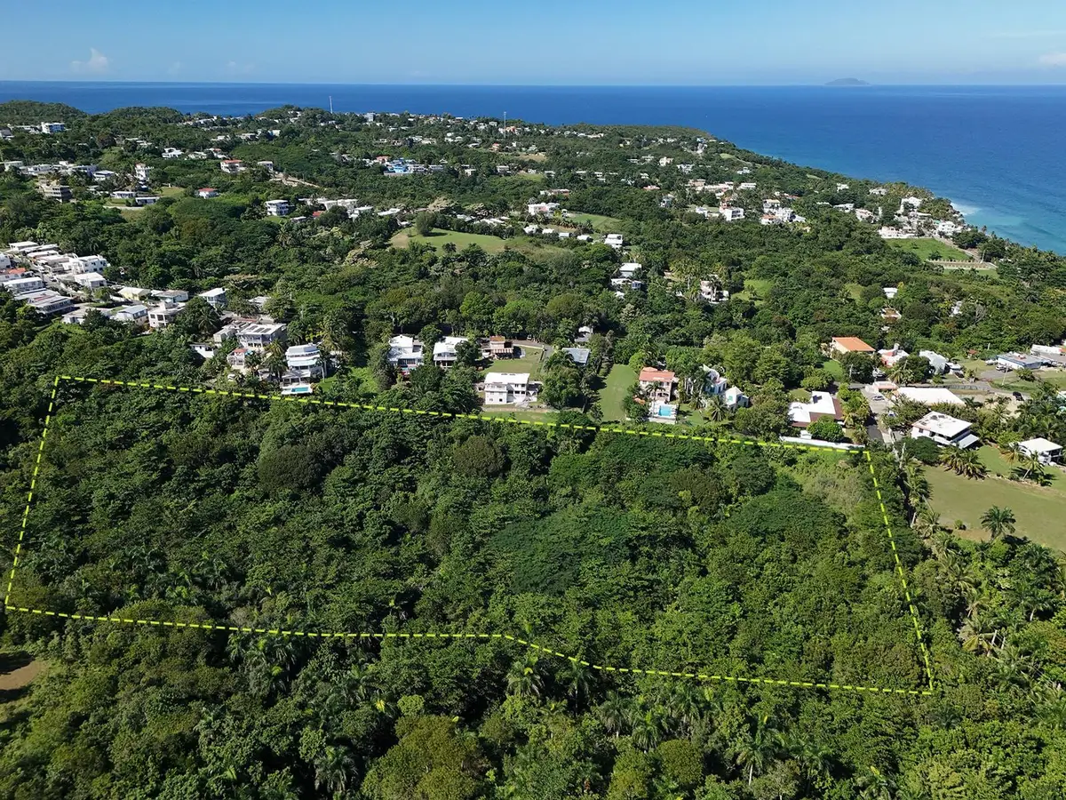 Calle Las Palmas, Rincon, PR 00677 - Image #1