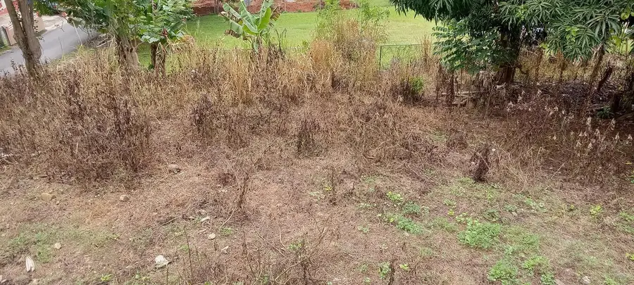 Carr. 435 Comunidad Perchas Ii, Calle Zafiro, San Sebastian, PR 00685 - Image #2