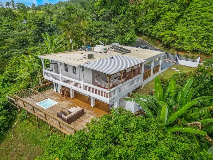 LOT 22 Sr 143, Km 30.0, Lala De Piedra Wd, Orocovis, PR 00720 - Image #2