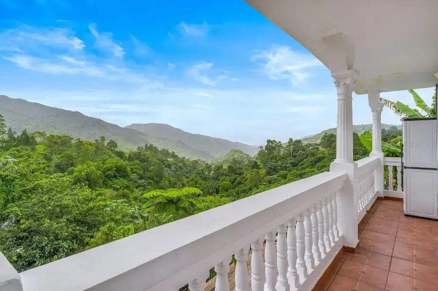 LOT 22 Sr 143, Km 30.0, Lala De Piedra Wd, Orocovis, PR 00720 - Image #3