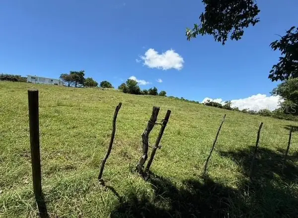 Bo Llanos Tuna, CABO ROJO, PR 00623