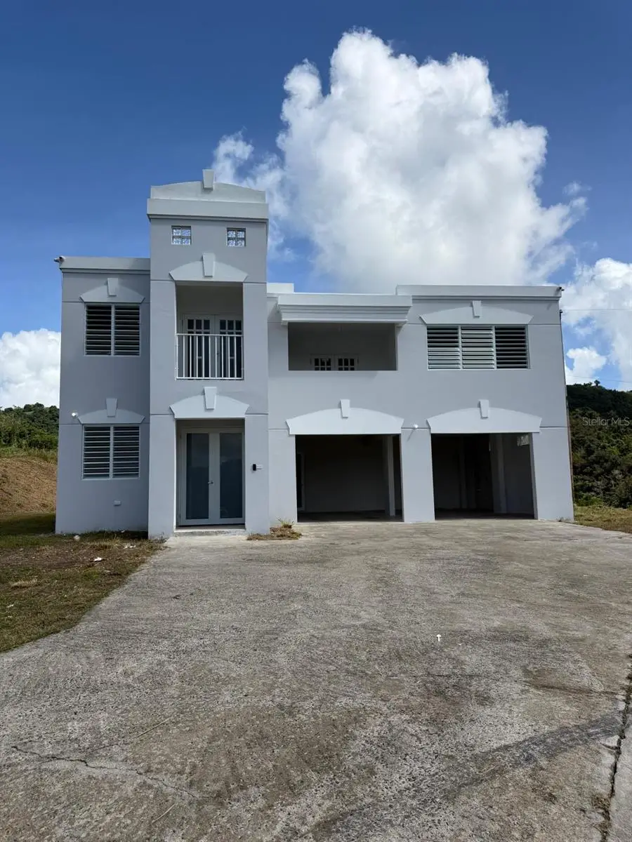 PR 918 Juan Dulio Cerr Gordo, San Lorenzo, PR 00754 - Image #1