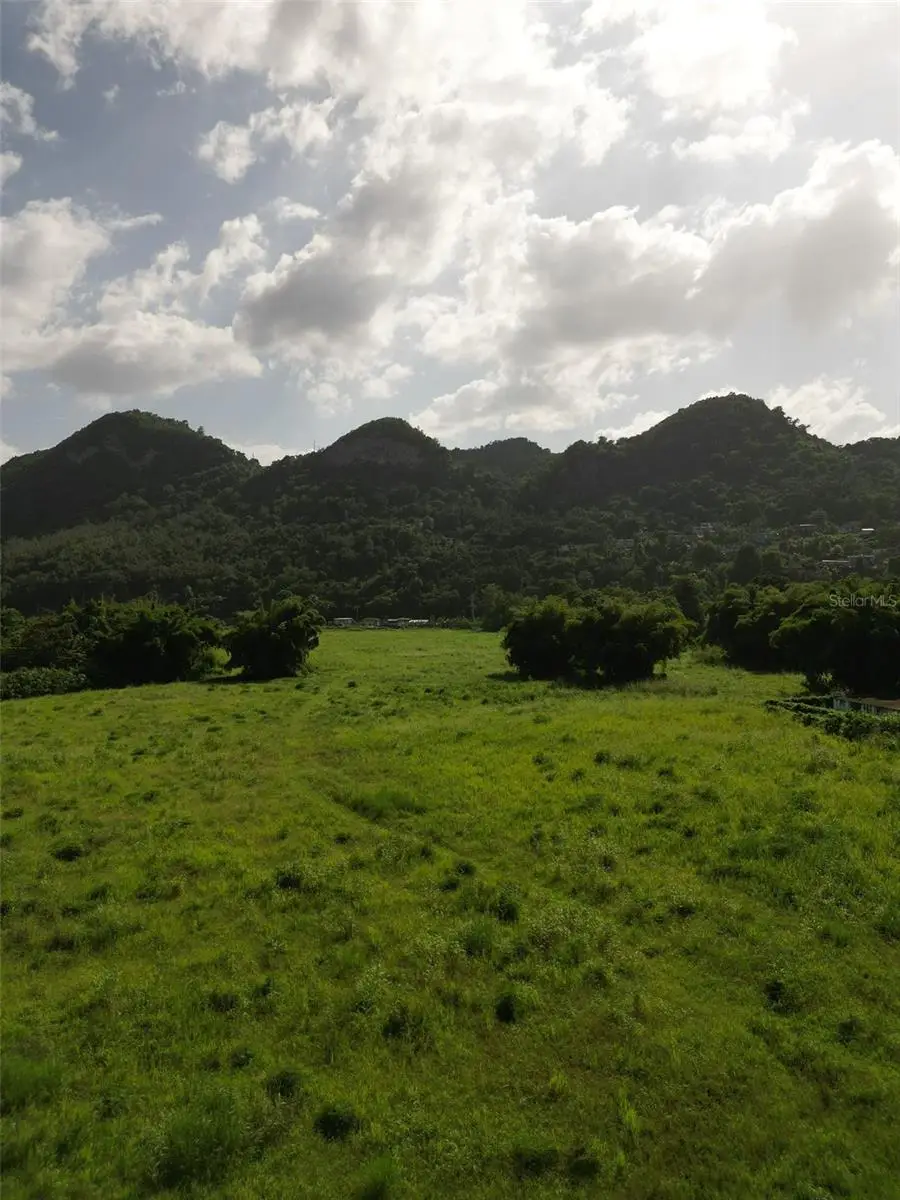 Carretera 10, Arecibo, PR 00612 - Image #2
