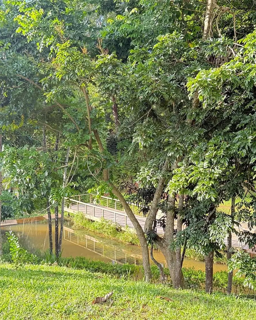 Carr 119 Carr 119, San Sebastian, PR 00685 - Image #3