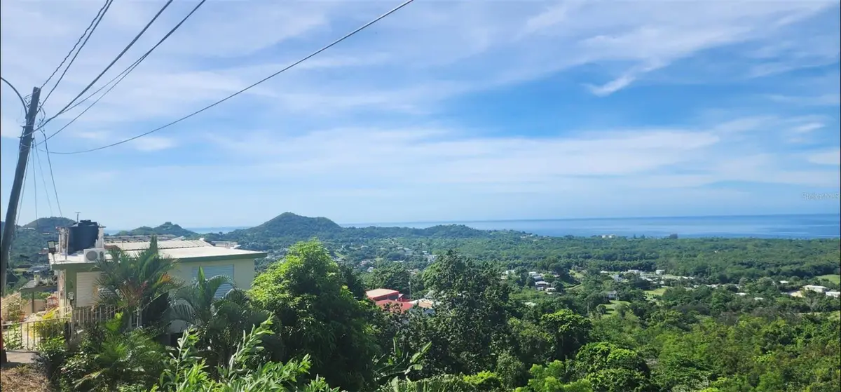 Carr. 412, Km. 4.8 Calle Pascual Nieves, Bo. Calvache, Rincon, PR 00677 - Image #1