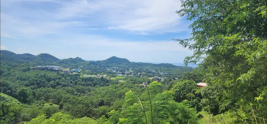 Carr. 412, Km. 4.8 Calle Pascual Nieves, Bo. Calvache, Rincon, PR 00677 - Image #3