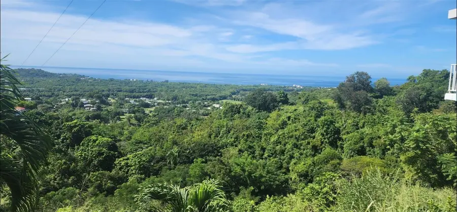 Carr. 412, Km. 4.8 Calle Pascual Nieves, Bo. Calvache, Rincon, PR 00677 - Image #3