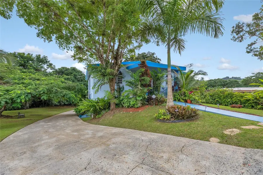 110 Freire Calle Rubi, Cidra, PR 00739 - Image #2