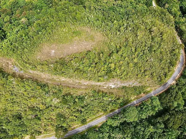 PR-446 Km 7.5, ISABELA, PR 00662