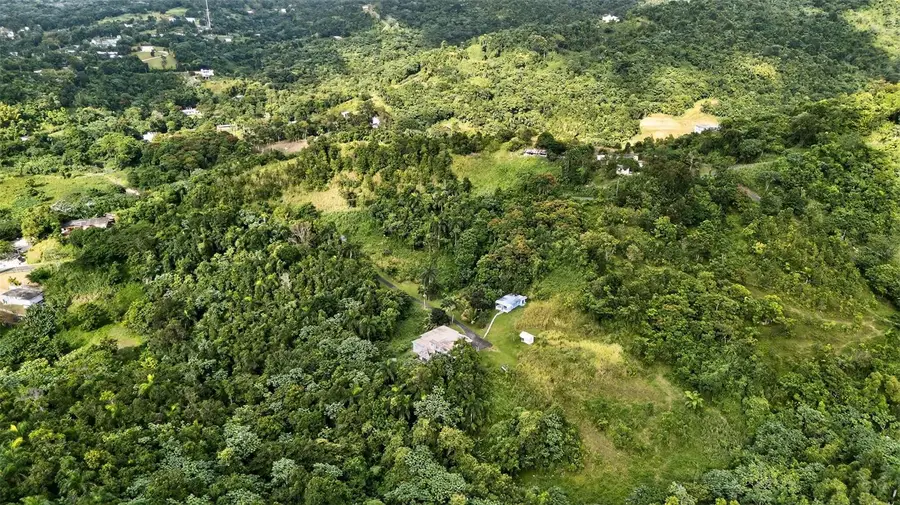 Carr. 186 INT 9948 KM 7.4 Sector Marines Cubuy, Canovanas, PR 00729 - Image #3