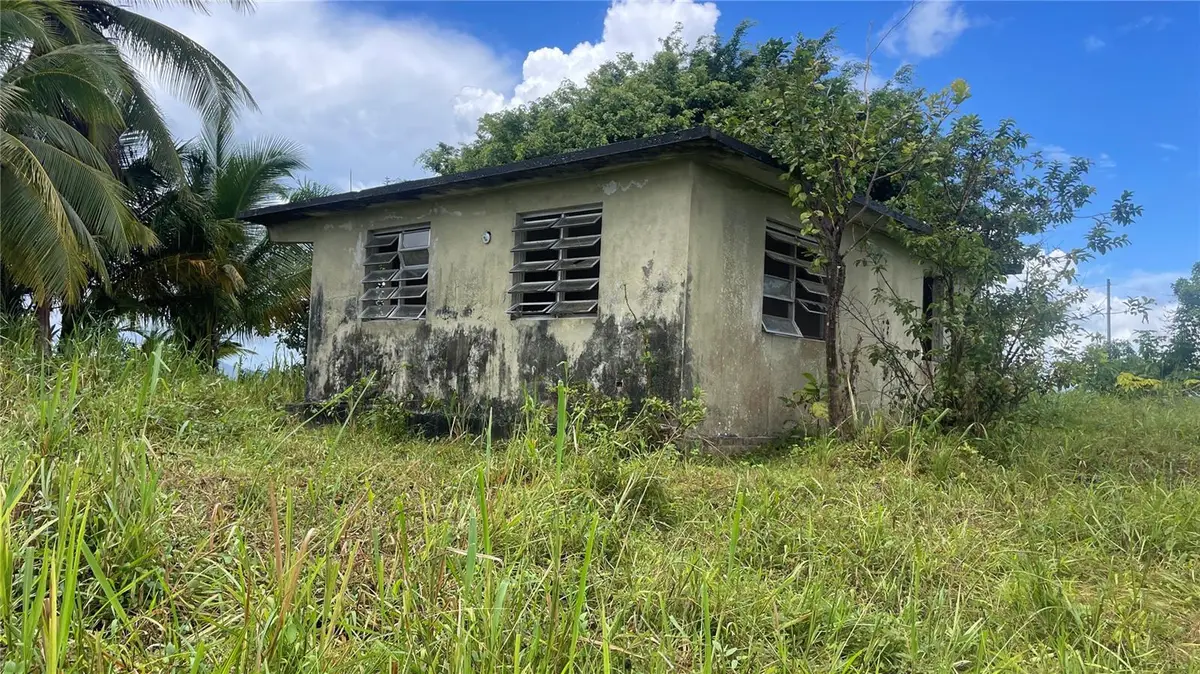 908 st Barrio Tejas, Yabucoa, PR 00767 - Image #1