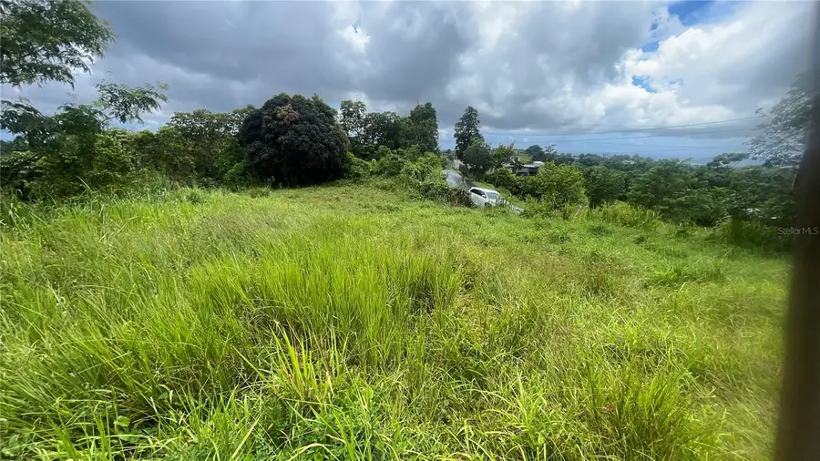 908 st Barrio Tejas, Yabucoa, PR 00767 - Image #2