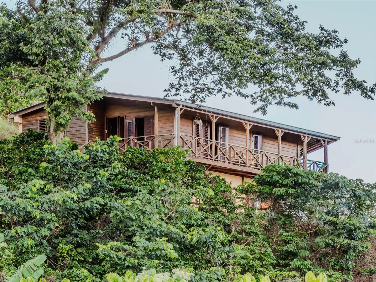 SR 526 Bosque Tanama, Adjuntas, PR 00601 - Image #1