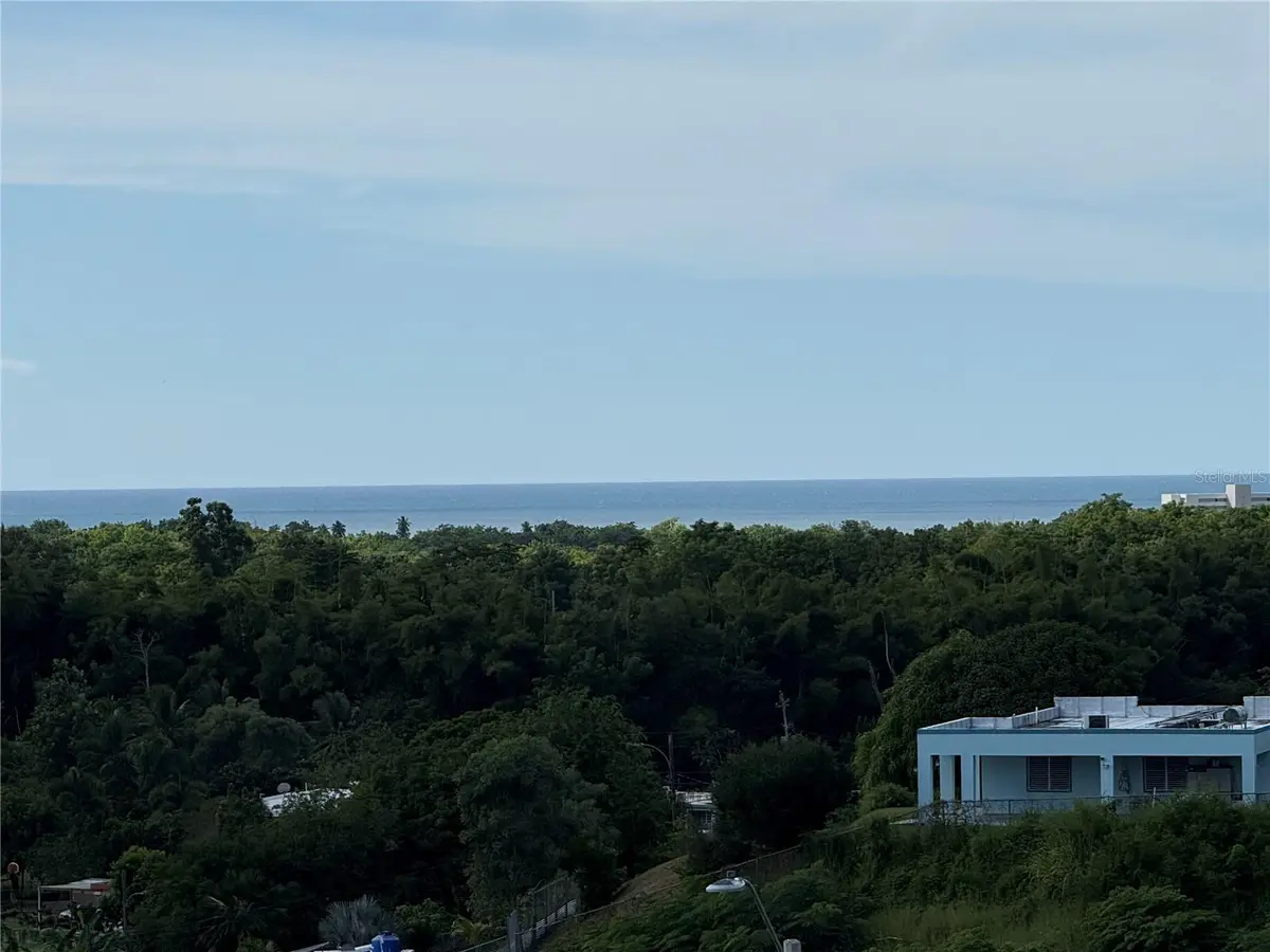 Carr 411 Km 0.2 Int Bo Calvache, Rincon, PR 00677 - Image #1