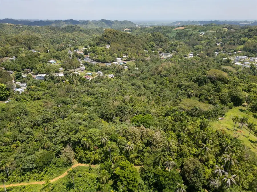 165 Km 7.3 Bo Galateo, Toa Alta, PR 00953 - Image #2