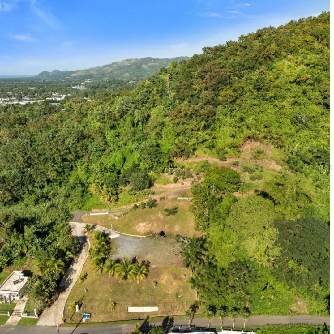 Solar 2. Barrio Daguey, Urb. Sagrado Corazon, Anasco, PR 00610 - Image #1