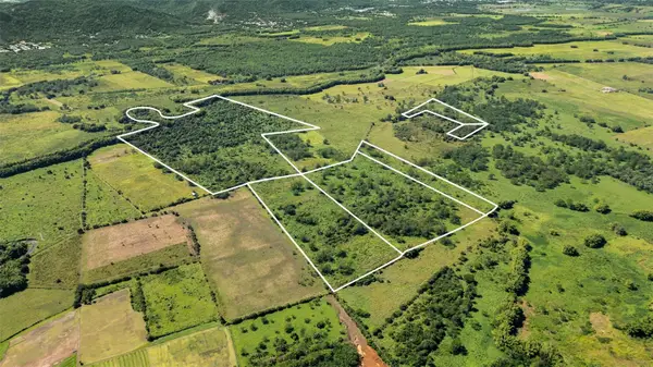 PR-2 KM 162 Bo. Benavente, HORMIGUEROS, PR 00660