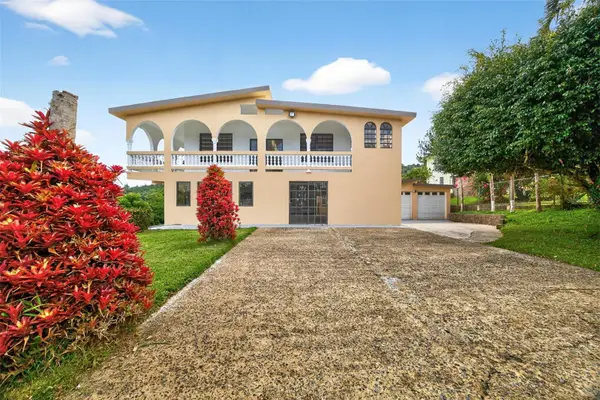 PR-184 KM 32.4 S Beatriz, CAYEY, PR 00736