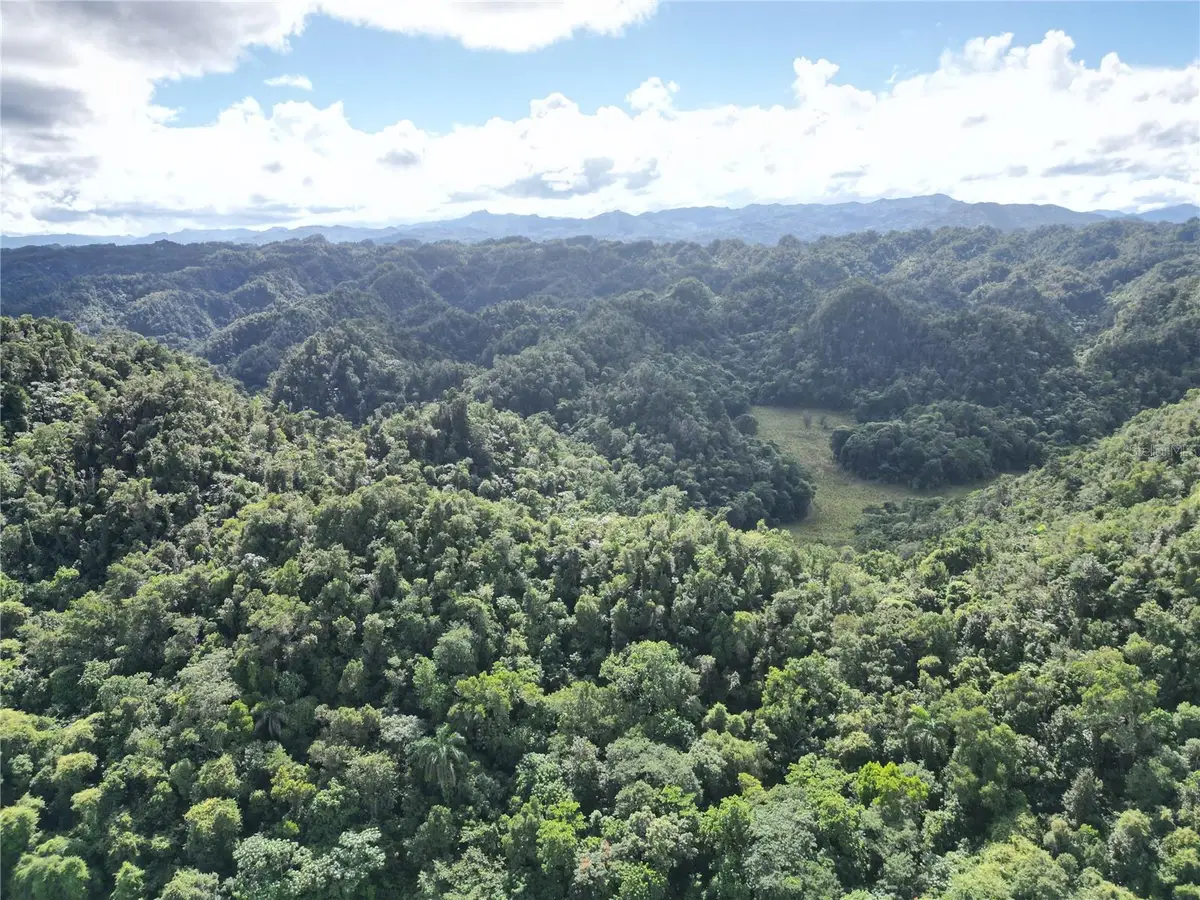 Carretera Pr-628, Km. 5.2, Sabana Hoyos, PR 00688 - Image #1