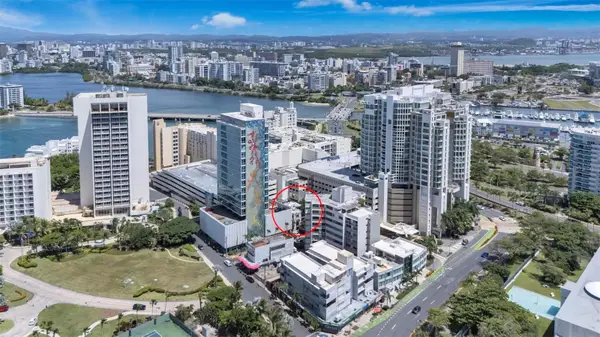 55 Las Palmeras, SAN JUAN, PR 00901