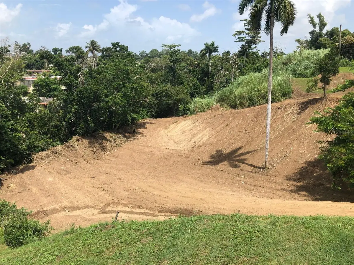 Bo Buena Vista , Carr 167 Km.hm 13.9, Bayamon, PR 00956 - Image #1