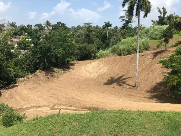 Bo Buena Vista , Carr 167 Km.hm 13.9, BAYAMON, PR 00956