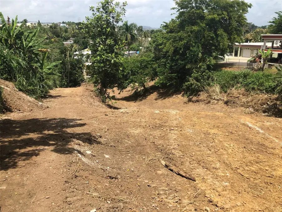 Bo Buena Vista , Carr 167 Km.hm 13.9, Bayamon, PR 00956 - Image #3