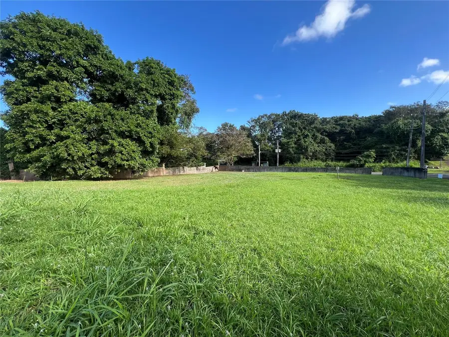 Bo. Jimenez Lot 1, Rio Grande, PR 00745 - Image #3