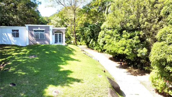 BO. GUZMAN ABAJO Carr. 956 Km 4.2, RIO GRANDE, PR 00745