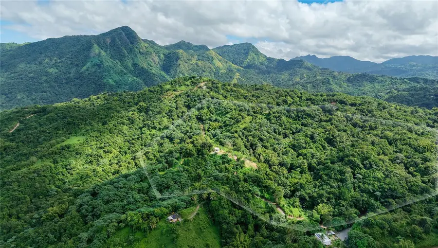 Carr. 140 Km 17.9, Utuado, PR 00641 - Image #3