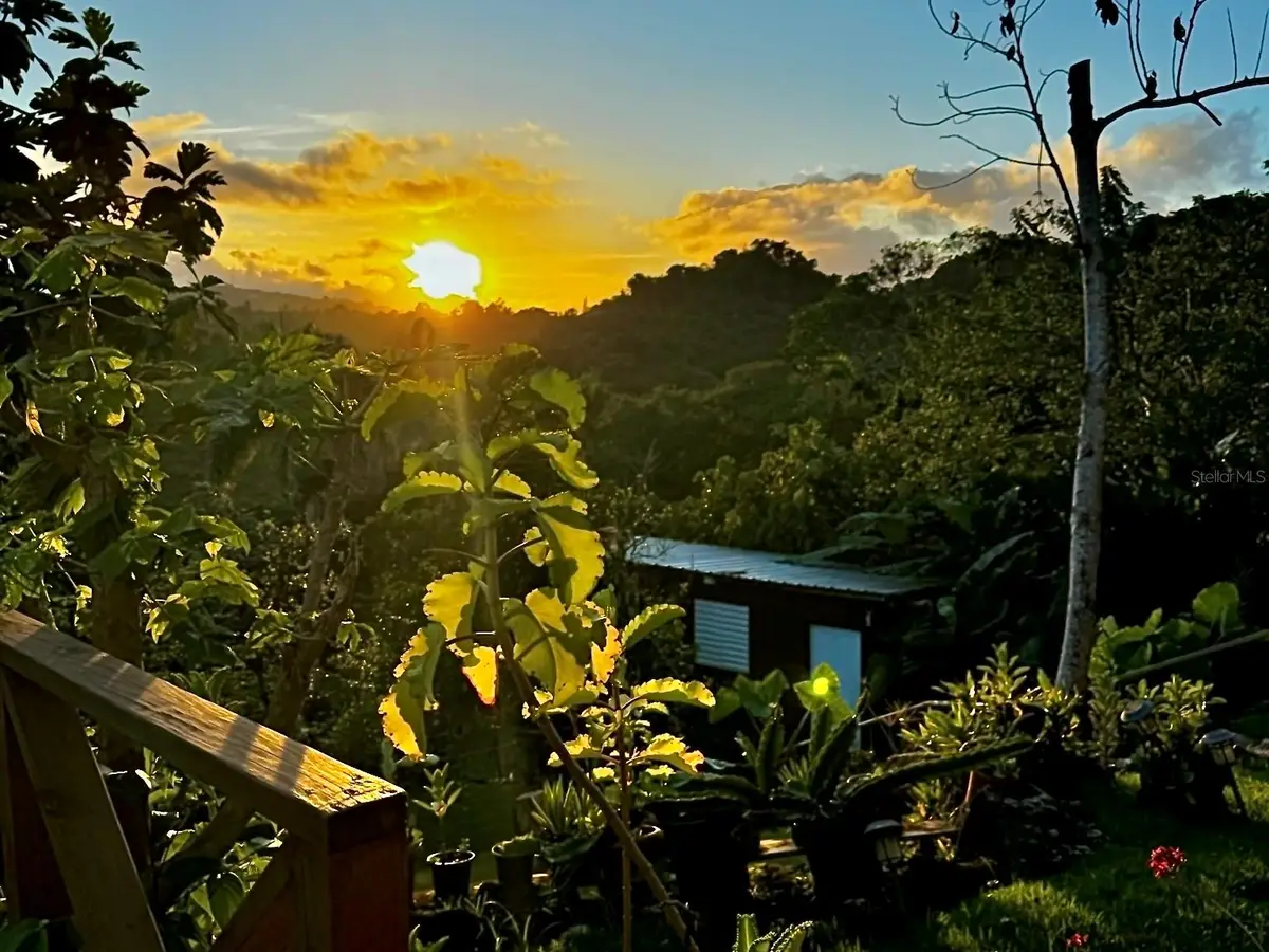 PR-621 Km 0.9 Interior Bo. Caguana, Utuado, PR 00641 - Image #1