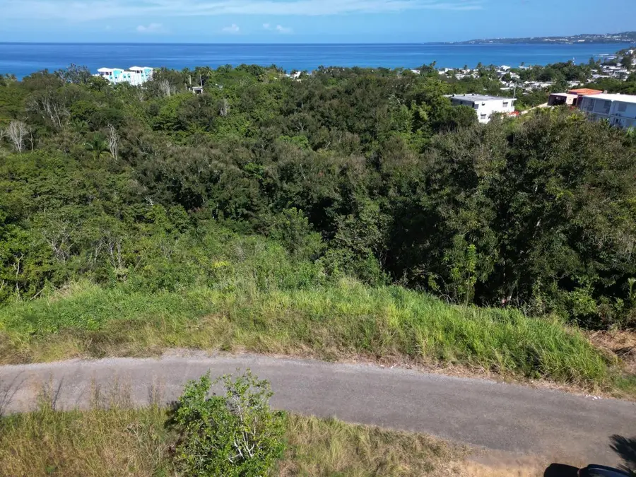 SOLAR 12 Bo Guaniquilla, Aguada, PR 00602 - Image #3