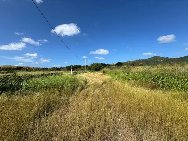 Carr. 542 Bo. Jauca, Sector Cayure Predio 119, SANTA ISABEL, PR 00757