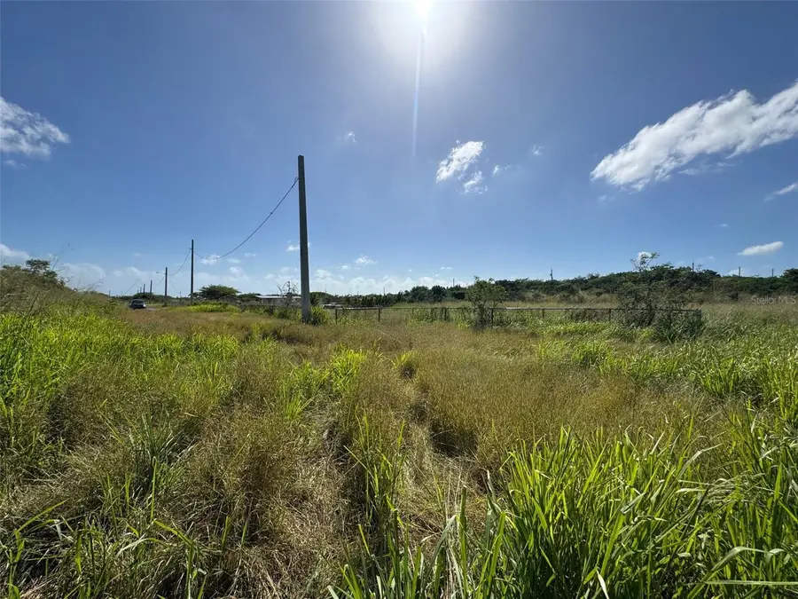 Carr. 542 Bo. Jauca, Sector Cayure Predio 119, Santa Isabel, PR 00757 - Image #2