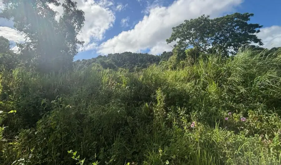 PR 945 Barrio Masas Ward, Gurabo, PR 00778 - Image #2