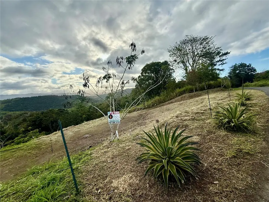 Sector Campo Bello, Cidra, PR 00739 - #2