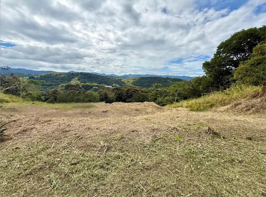 Sector Campo Bello, Cidra, PR 00739 - #3