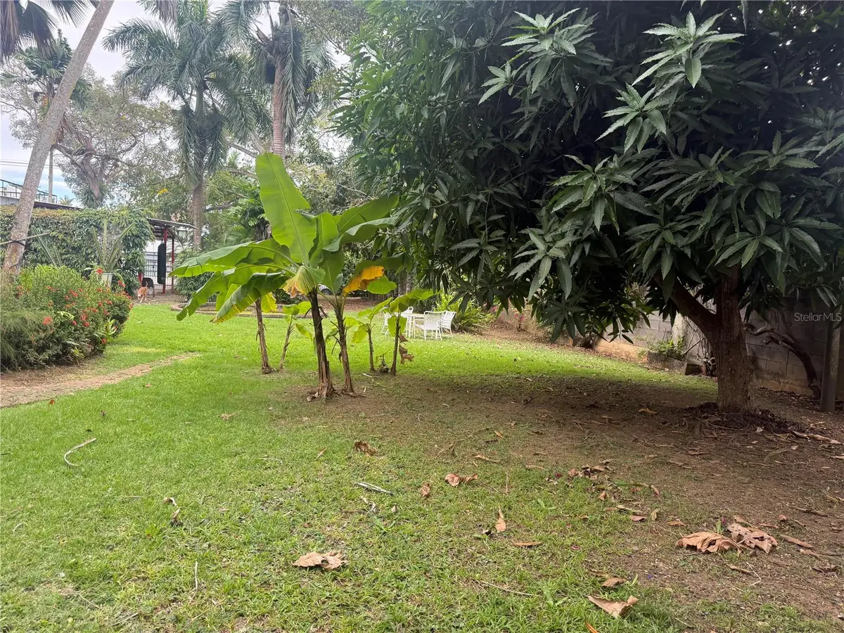 Calle Pedrosa, Garden Hills, Guaynabo, PR 00966 - #1