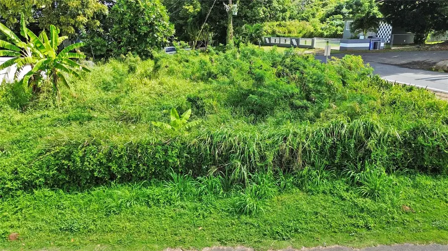 ANA MARIA STREET Puente Ward, Solar #1, Camuy, PR 00627 - Image #2