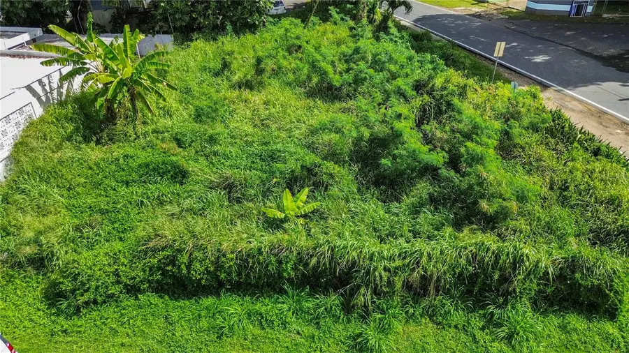 ANA MARIA STREET Puente Ward, Solar #1, Camuy, PR 00627 - Image #3