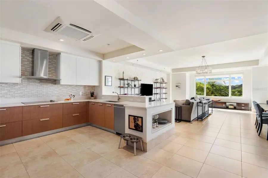 500 Plantation Drive #3206, Dorado, PR 00646 - #2